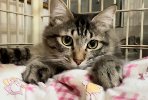 9EA42CE7-365F-4134-8CE0-57BD203CBD62