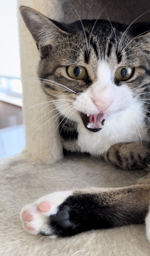 123295F1-793E-47C1-A574-A96BBE66FB00