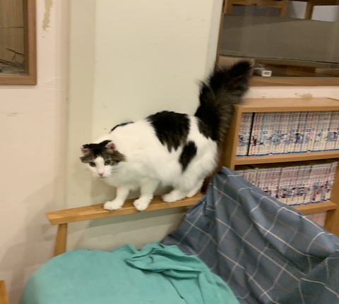 1CF6569E-15F7-4AA6-B884-70E256B453A4