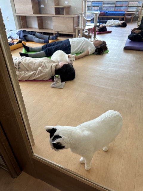 D30B4818-D8BE-479F-A1AA-269FECD6FFA3