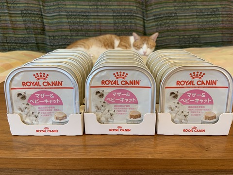 713BF972-5E23-46D9-8583-773AE7469237