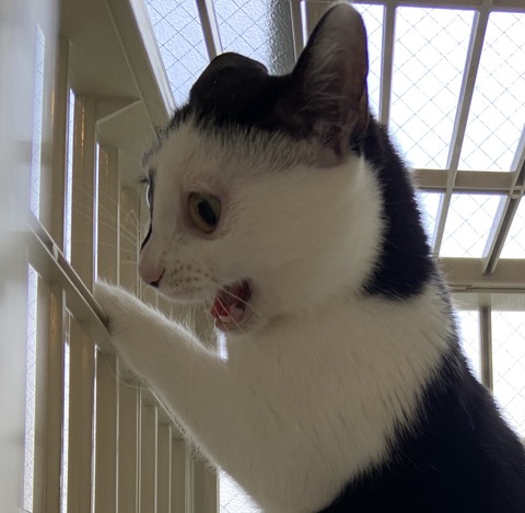 8441E5F8-2205-4F97-BC62-E2AA02D5509A