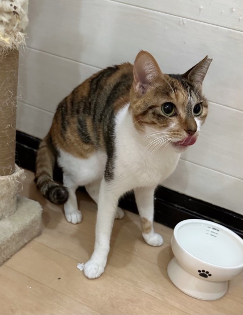 420C6EA1-908C-47AF-AB9C-EF4D2CC87824