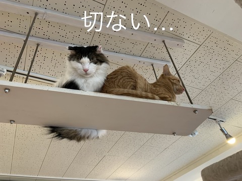 070EF3AB-7652-4614-8CFB-95CECEF893A2