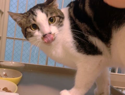 E8C0A1AA-038B-4486-BEC9-59B2C4D24424