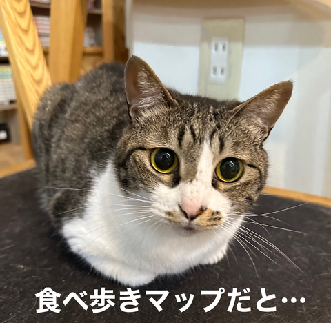 4F1C1151-6CCD-448E-8AE7-15F67444739B