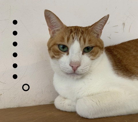 EEA40EB6-9590-4A64-933A-3BA693355C73