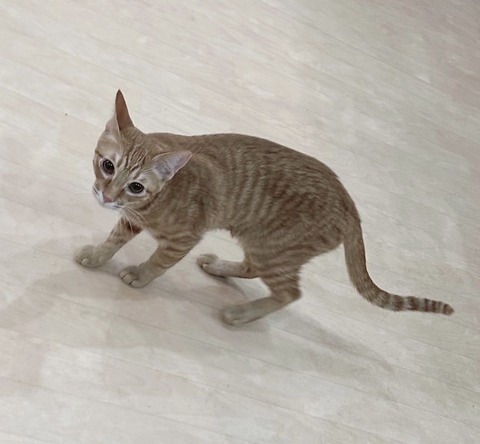 035E392E-AF9B-47B0-966A-A98142262611