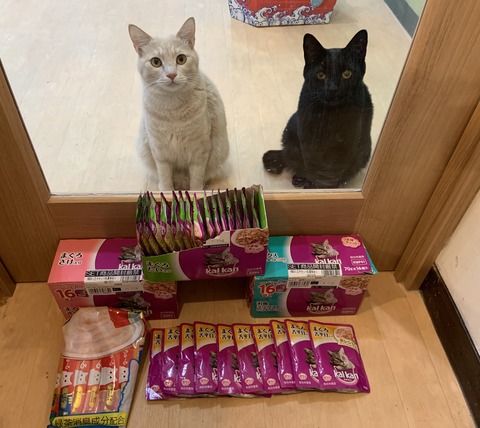 BA93B24D-C272-4D9B-B429-09E50E5E11C4