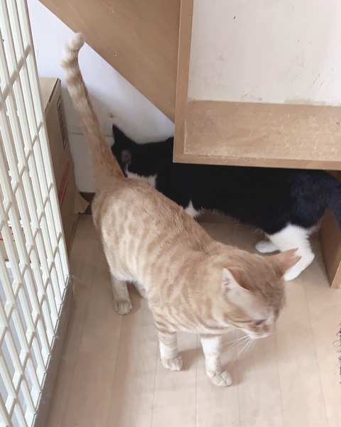 63040291-3654-416E-A592-7A83243D575C