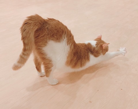 BE9213E0-CE16-44AD-8BC1-2C1C31710ACC