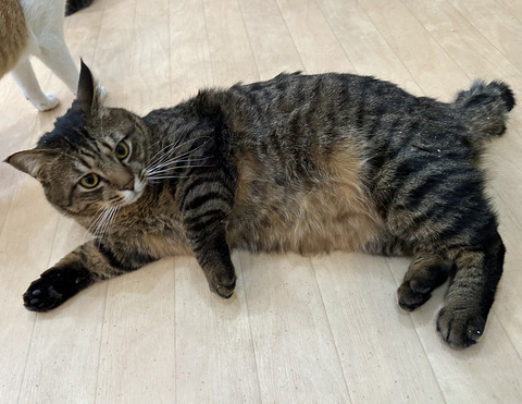 5F089305-78A9-46F0-B268-685AA07B9A5F