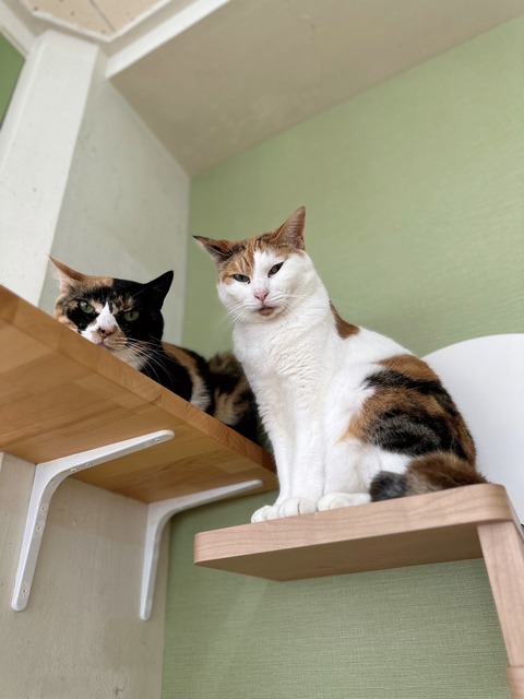 D81ADAB2-DC78-414D-97E2-E751F18E730B