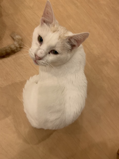 9F84FB93-D236-46DC-8CBB-63C617484473