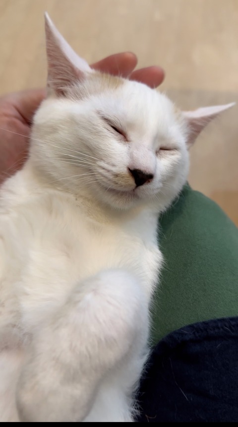 7DEF1282-C640-4CB8-BD4E-3496D0B481AE