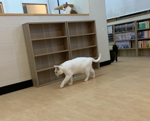 9F7A913A-E97E-41B6-A59B-51A2BBA88912