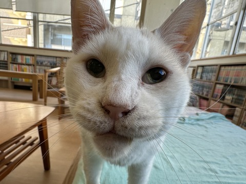 6218F09E-DDEB-4E3E-8781-1B9270FAF0D9