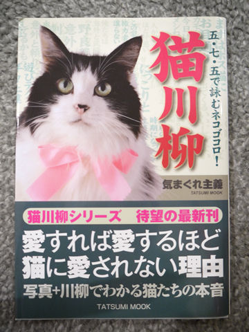 猫式ブログ~里親募集型猫カフェ