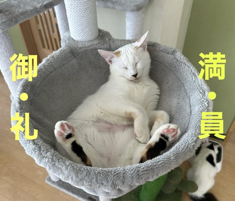 A722BDC5-BF76-4345-8480-46EDB38C0E5F