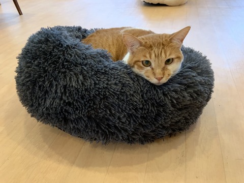 55771CFD-CC44-4909-9464-A694A6B439F6