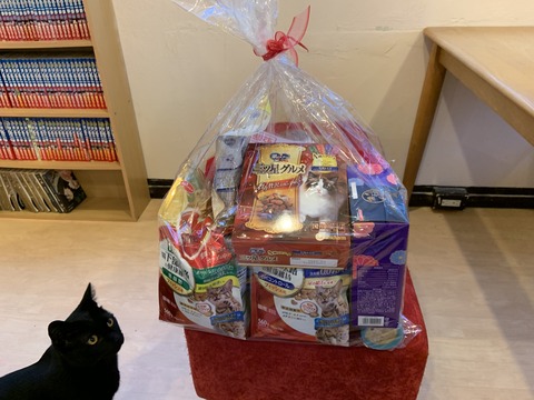 D66FE8E1-CD4F-4FE4-BB99-F1BF473830B5