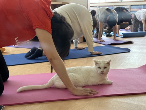 D42046F5-0155-4CB2-B658-20E4C16C7FE0