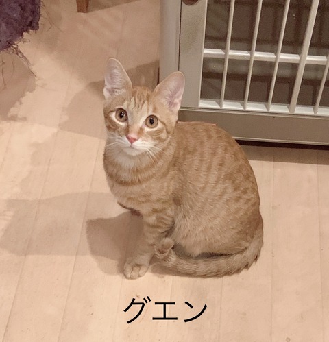 AF6CDCE5-31A3-4514-BF07-6323E778FDD2