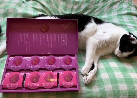 1FF57180-C95C-4ABF-B135-36795CF06D0C