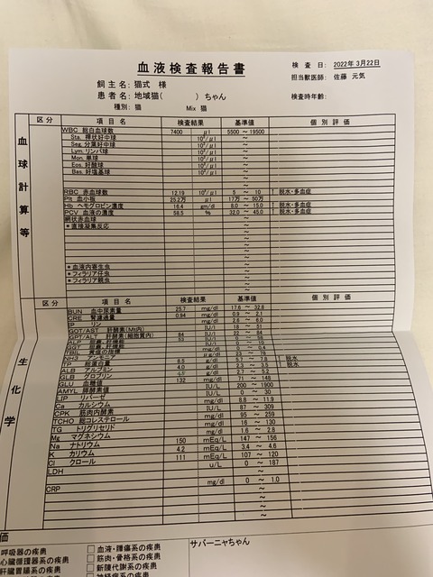 F8064254-06C9-4757-B7DF-BD3BE5EF1DE3