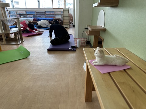 2C832C4E-0CB7-48E2-9C2F-C9026B0CBD71