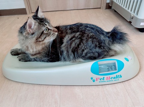 40E4A7E3-532A-4BB7-9300-7DA1AE7BEED5