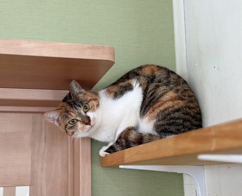 02C1B3EC-0507-49C9-B5AC-3AD9F8730587