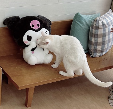 8D919F67-A697-445E-A56D-8400CBA73345