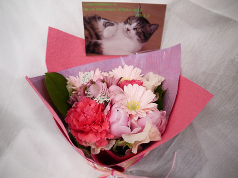 猫式ブログ~里親募集型猫カフェ