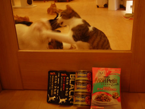 猫式ブログ～里親募集型猫カフェ