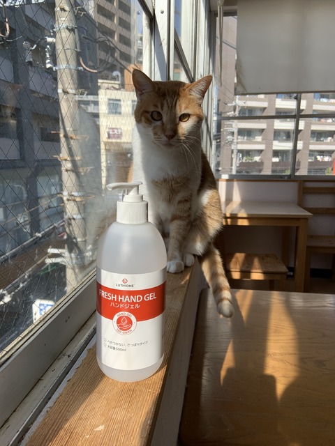 79681C67-4CF4-4164-B265-A7E9C2CE4820