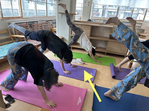 A05C5933-E4BC-42AD-A22B-BD6070AFB466