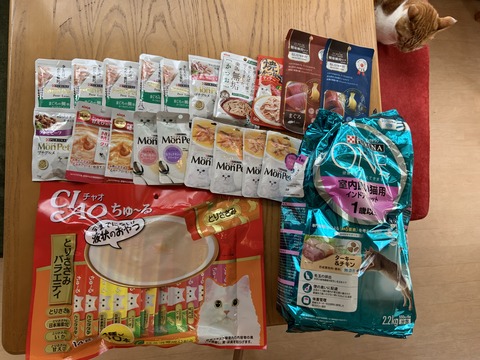 2DB07B03-CB97-49C6-A89F-562B44158560