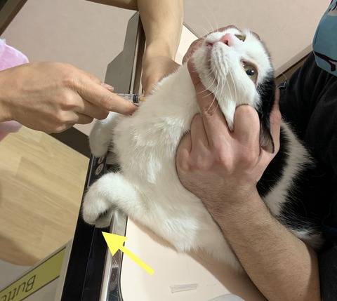 AE5EDC8F-1326-4F35-BC18-29B889230E3D