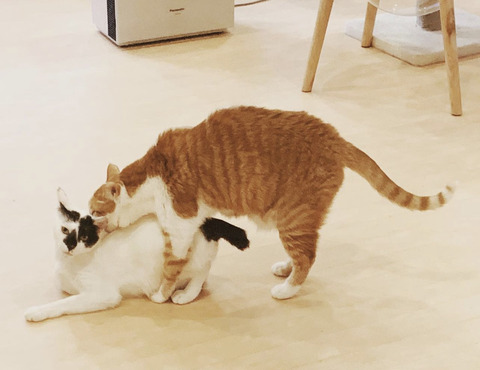 EC00CF9E-62A9-4B93-80A3-0DB7CCC97CCF