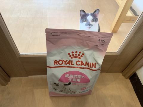 EDE129B9-784D-4034-A82F-80EC636A49A1