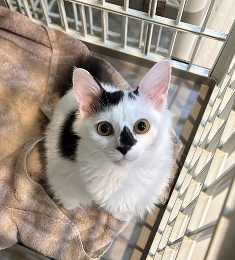 24A08C14-0D15-48E4-B749-05B7D0BDA37E