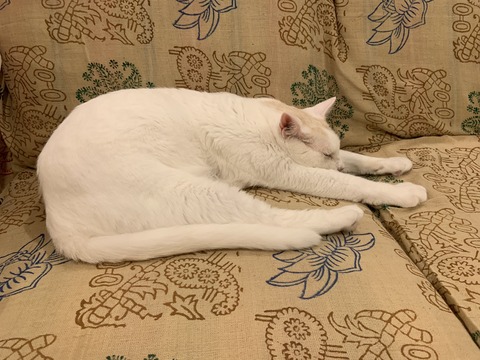 BBCD76C5-EFB2-408F-908C-A49E4B437BFD