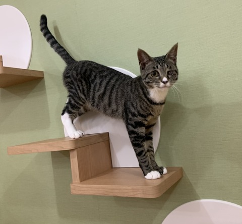 D3A0C632-85E3-4386-BE1F-F84C4AFFEE4A