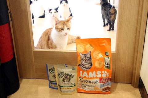 20190120_スサマス里親さん