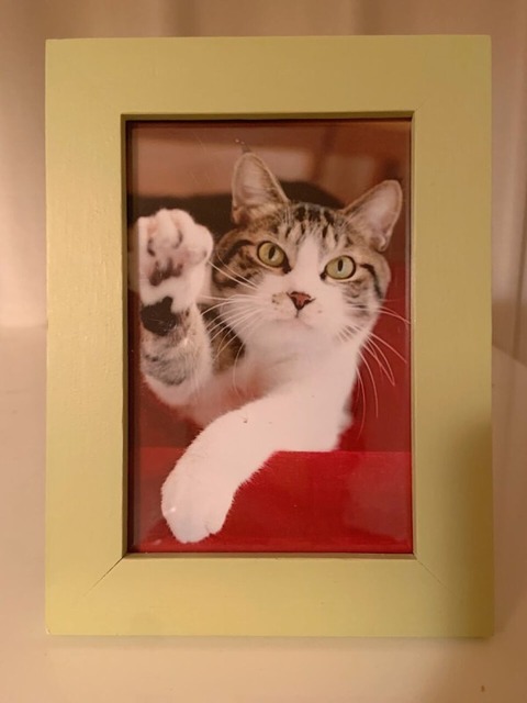 BD3D82B2-6F6A-4079-96CA-61F133068AAA