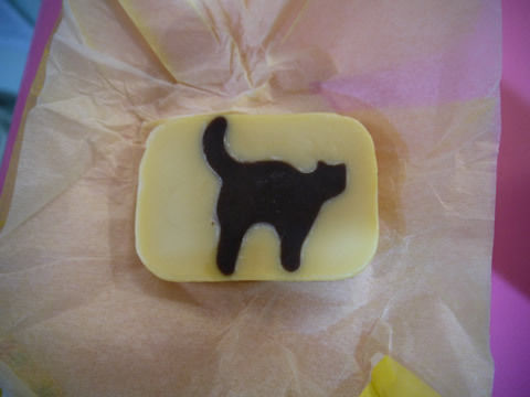 猫式ブログ~里親募集型猫カフェ