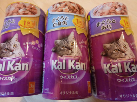 猫式ブログ