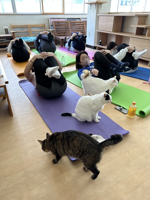 66E0B05B-1E44-483E-A1CF-F34B2CC62227