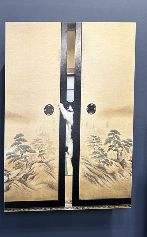 042CA22F-75F8-405C-95B1-34B36703D9D4